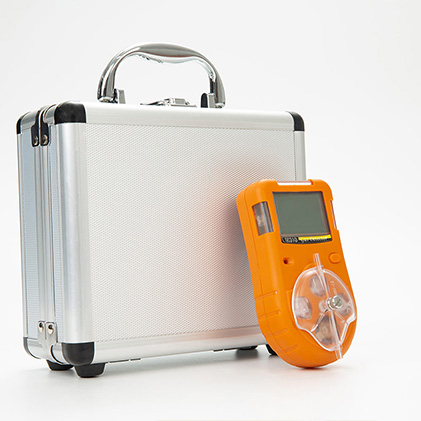 GC310 Portable gas detector