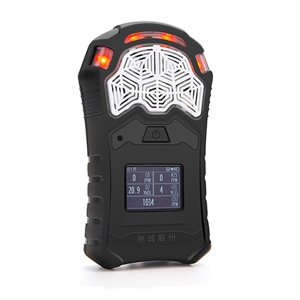 GC610 Portable gas detector